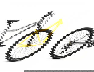 detske-kolo-24-al-nipper-jednoprevodnik-1x7s1x8s1x9s-z-565-chromovany-zlaty